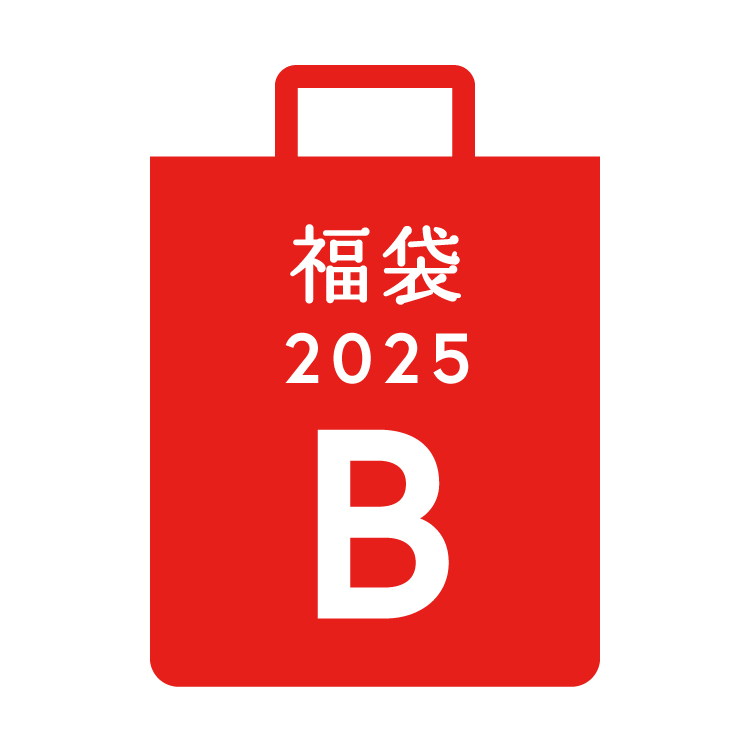 【Web Shop限定】文具と雑貨の福袋 2025 B